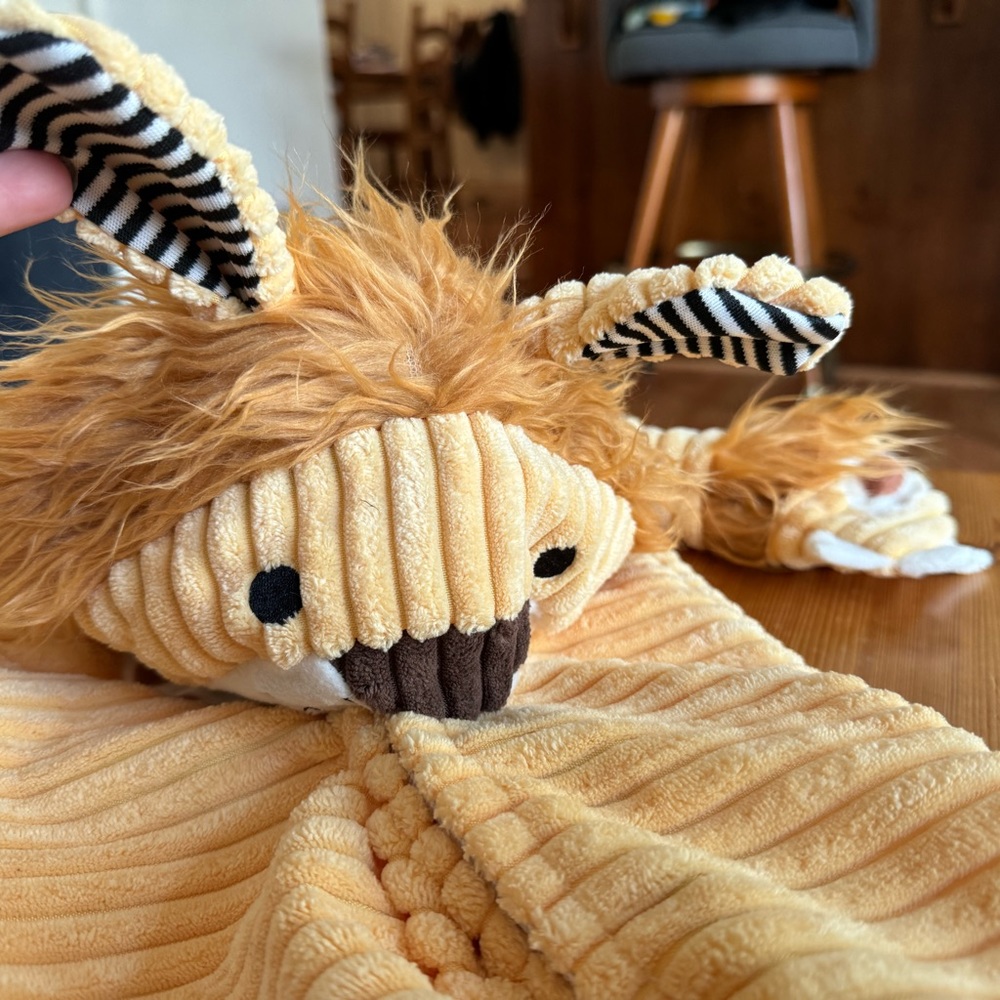 Lion costume